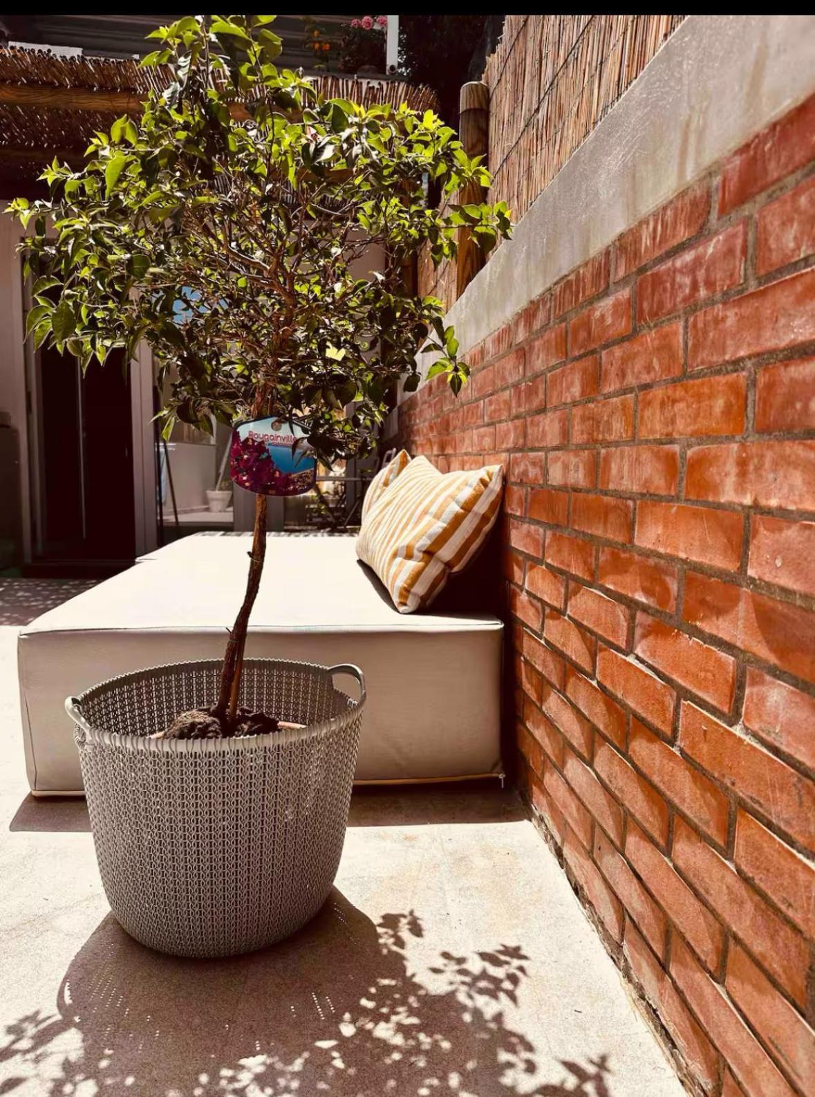Casa Capri Mores Dış mekan fotoğraf